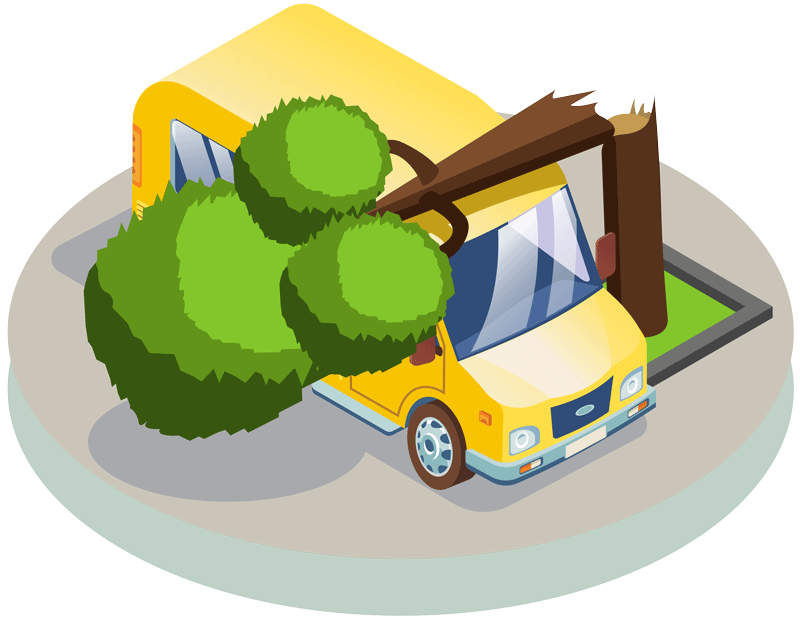 Fallen Tree on Vehicle